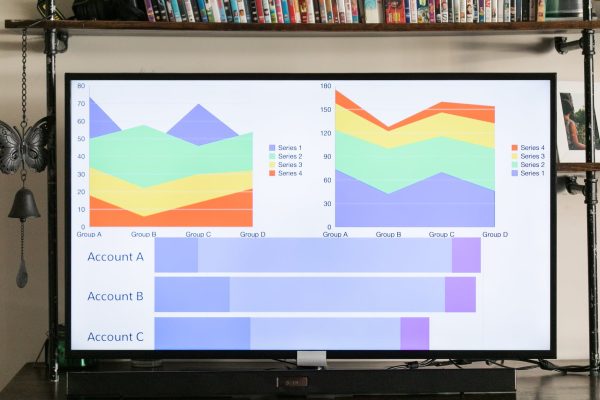 charts showing cash flow projections